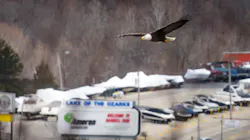 A bald eagle flies over Bagnell Dam at Missouri's Lake of the Ozarks. A bald eagle flies over Bagnell Dam at Missouri's Lake of the Ozarks.