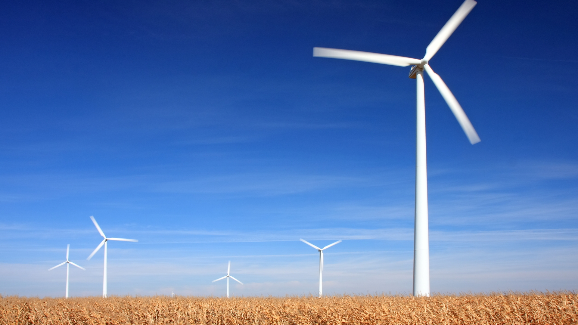 Dreamstime M 11508781 63e686e59a8f2