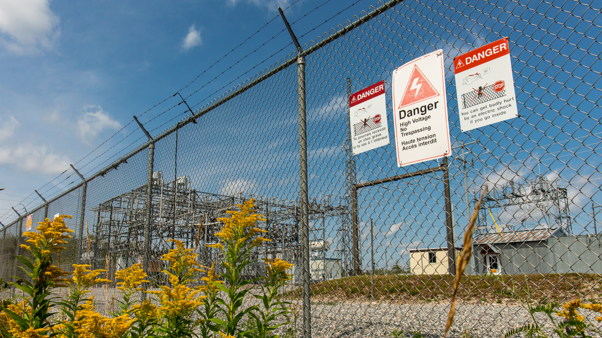 Dreamstime M 165666660 63f4e965ee063