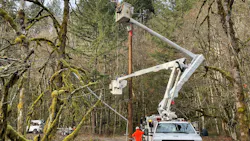 Utility workers install a new pole in a forested area of the PGE service territory. Utility workers install a new pole in a forested area of the PGE service territory.