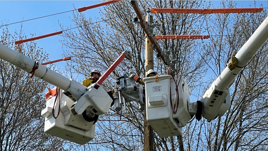 Oe Grid Mod Web 6418c95eefa6d