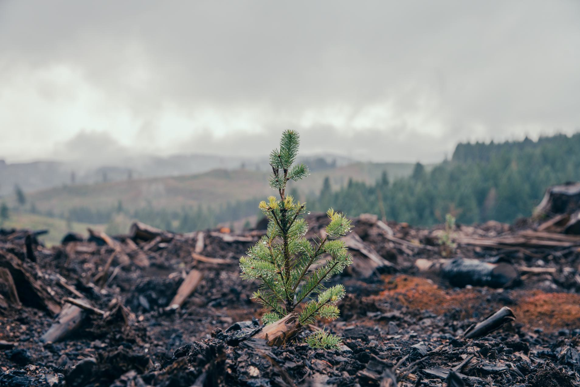 Dsc04325 643eab738250b