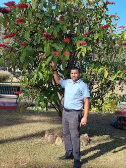 Yohann Govia of Trinidad and Tobago’s Ministry of Agriculture Land and Fisheries, points to an endemic double (Warszewiczia Coccinea) Chaconia tree, the national tree of Trinidad and Tobago, that is biomechanically suited for urban environments. Yohann Govia of Trinidad and Tobago’s Ministry of Agriculture Land and Fisheries, points to an endemic double (Warszewiczia Coccinea) Chaconia tree, the national tree of Trinidad and Tobago, that is biomechanically suited for urban environments.