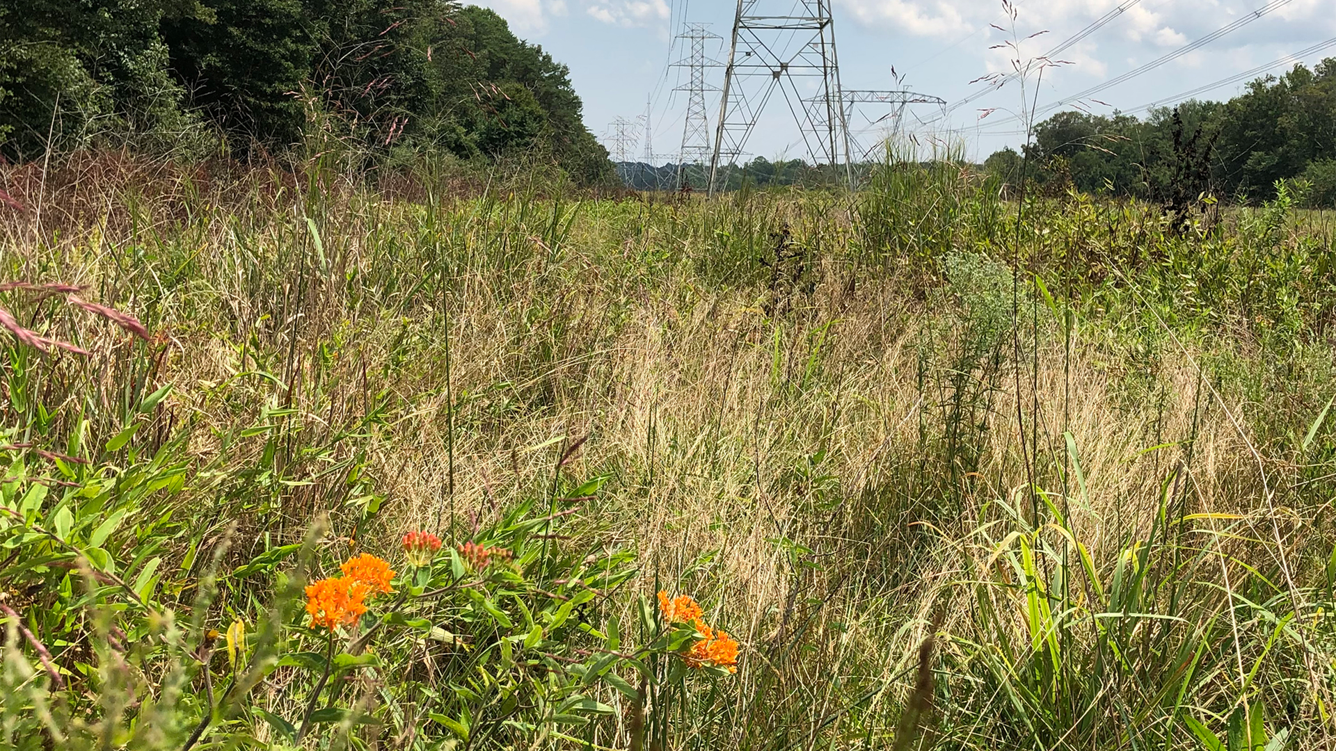 Img 2345 64418b4b49026