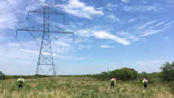 Herbicide Application 64935b3c205ee Herbicide Application 64935b3c205ee