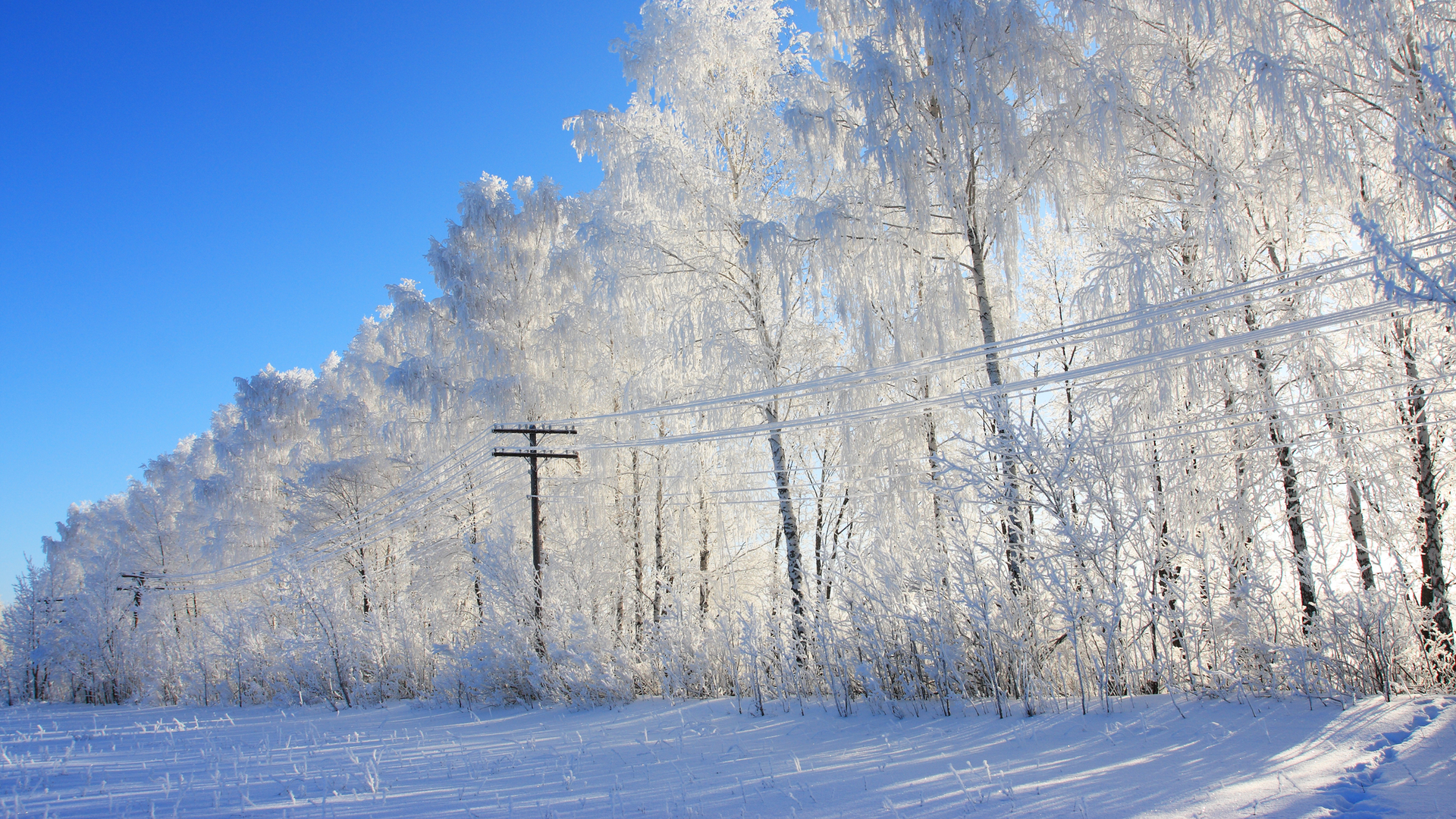 Dreamstime M 6711059 648ce0fc1b68f