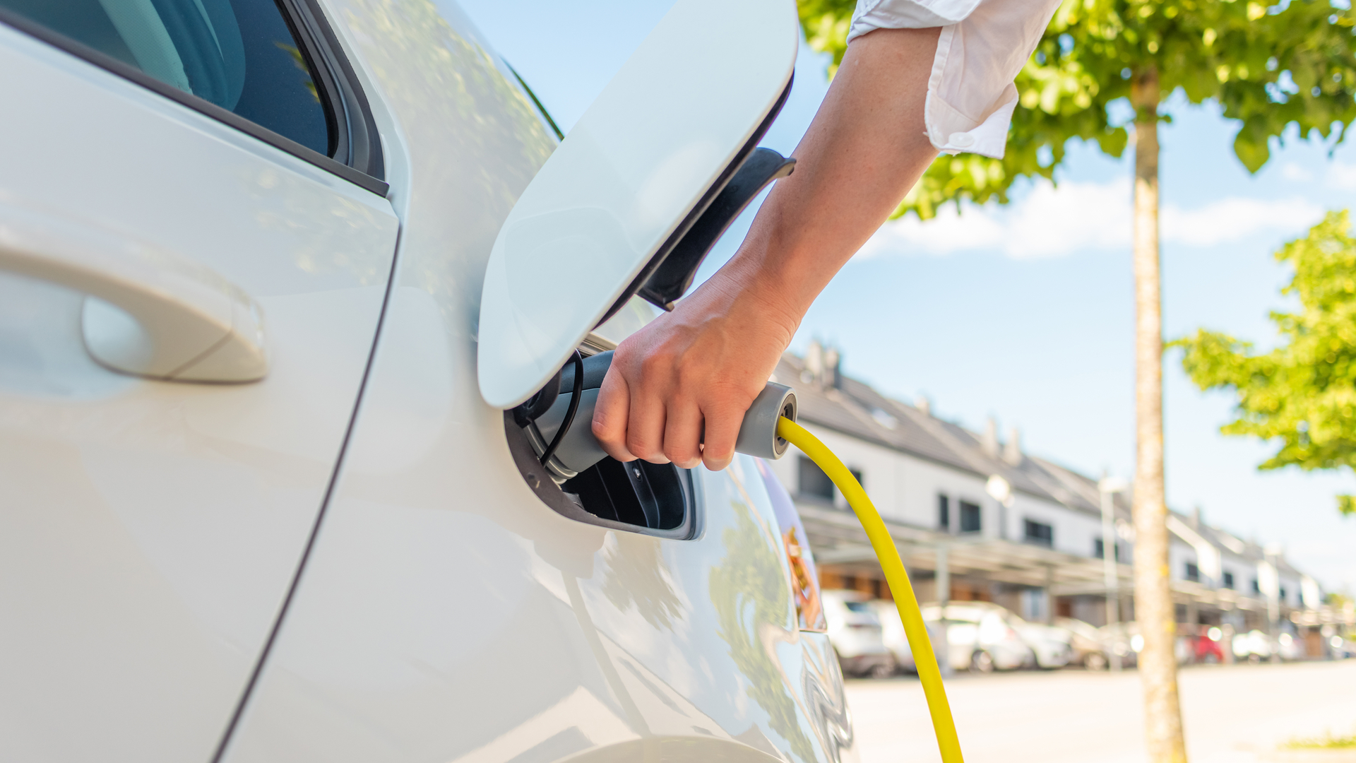 Dreamstime M 228979284