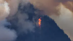 Dreamstime M 256712090 64bff4ce87406 Dreamstime M 256712090 64bff4ce87406