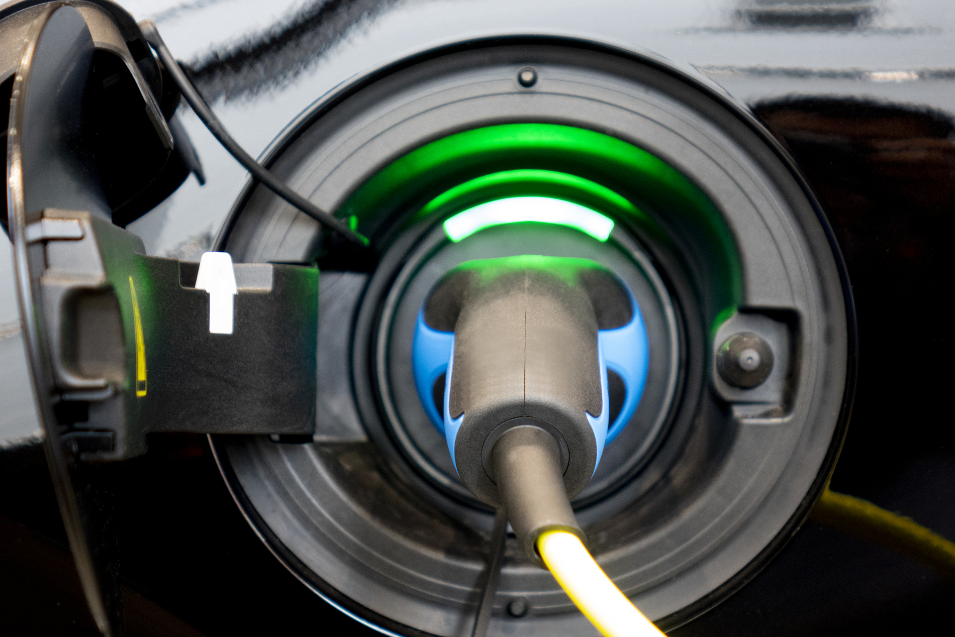 Dreamstime L 133988023 1 64c28d65a330a