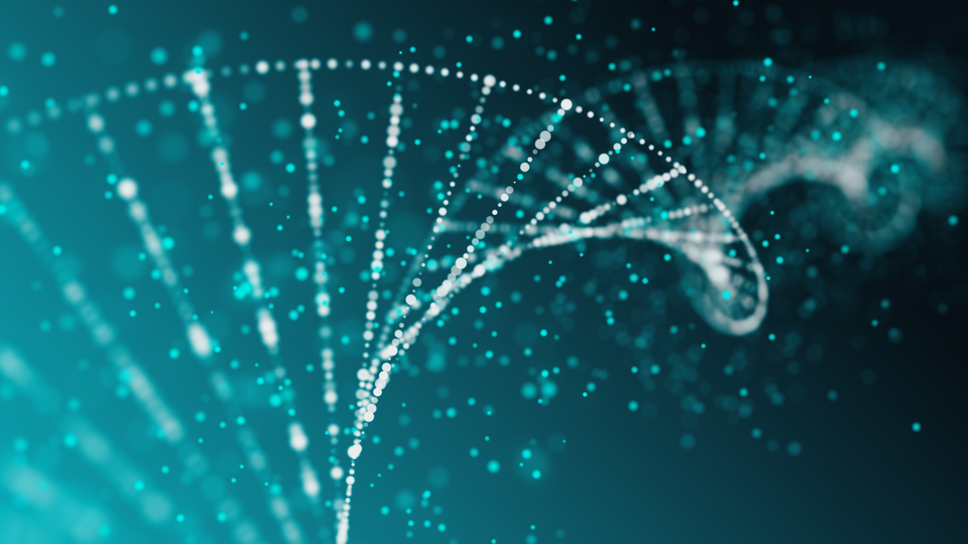 Getty Images 877873518