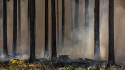 Dreamstime M 143110822 64d54b9284fee Dreamstime M 143110822 64d54b9284fee