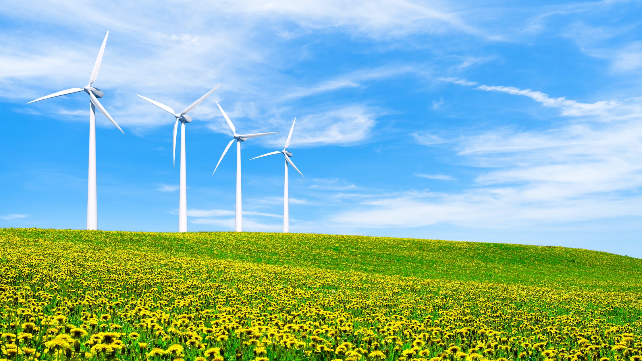 6567acc32d6d50001e51d501 Dreamstime M 141990385