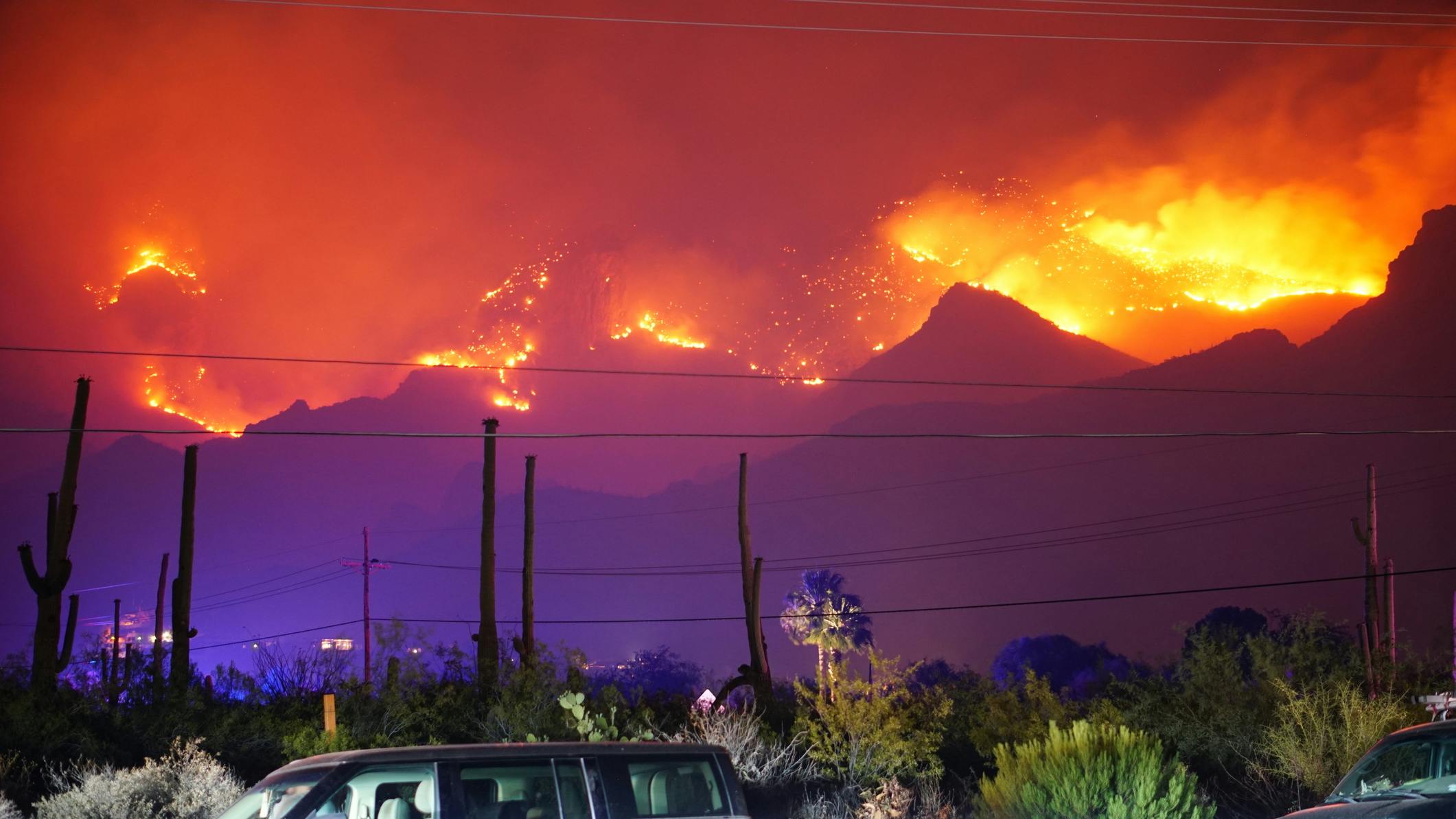 65afa15a38dbb0001d391cef Dreamstime M 186503836 1