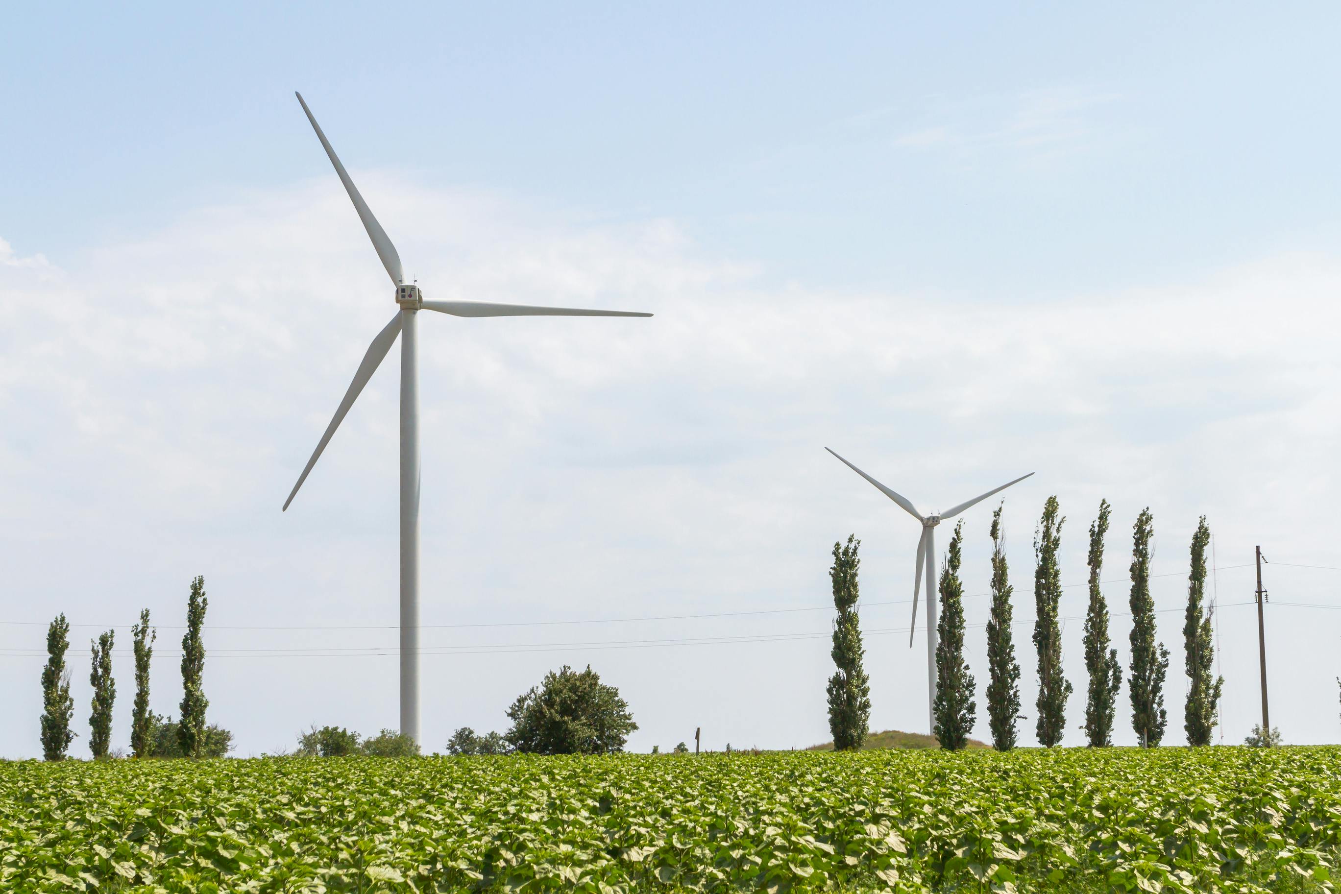 65b3eaddc185ba001ec3eab7 Dreamstime L 94166429