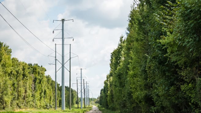 65c53c5c2d5c13001e415b00 Duk Wires 1