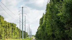 65c53c5c2d5c13001e415b00 Duk Wires 1 65c53c5c2d5c13001e415b00 Duk Wires 1