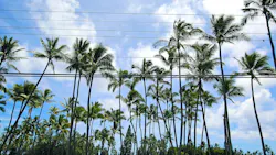 65c654cbf2706d001eaa0216 Gettyimages1191328486 1 65c654cbf2706d001eaa0216 Gettyimages1191328486 1