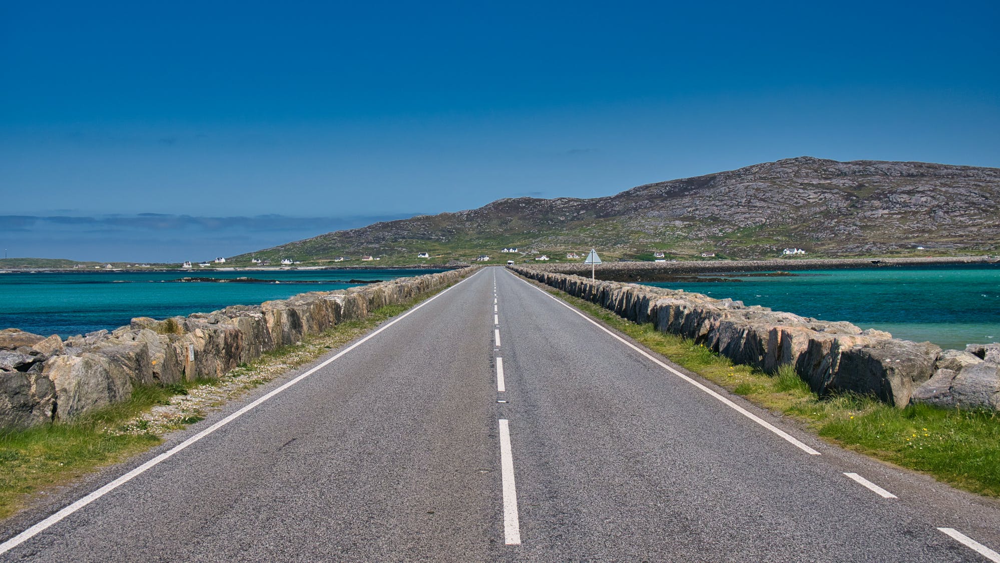 65cce454dc6f71001eb1bf04 Gettyimages1728356157