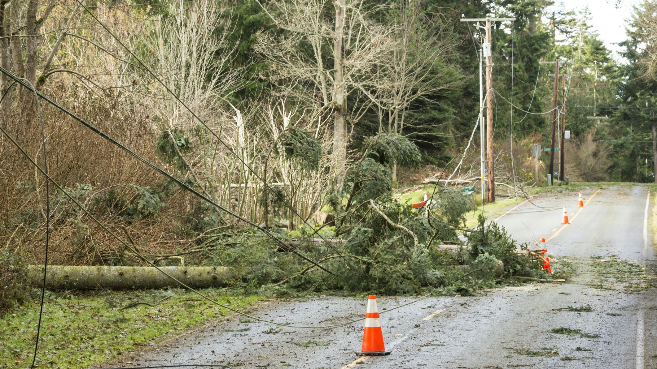 65d7ac46e75db1001eb3f365 Dreamstime M 124577730