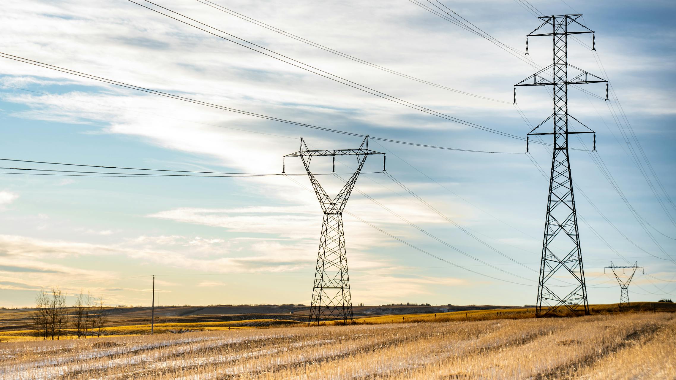 65f8abcb8a94d8001e3f5315 Dreamstime M 204500862