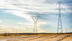 65f8abcb8a94d8001e3f5315 Dreamstime M 204500862 65f8abcb8a94d8001e3f5315 Dreamstime M 204500862