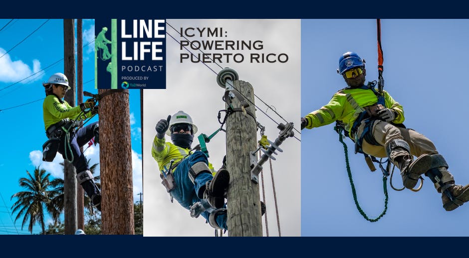 65fd8a937091d2001efccdba Lumaicymi