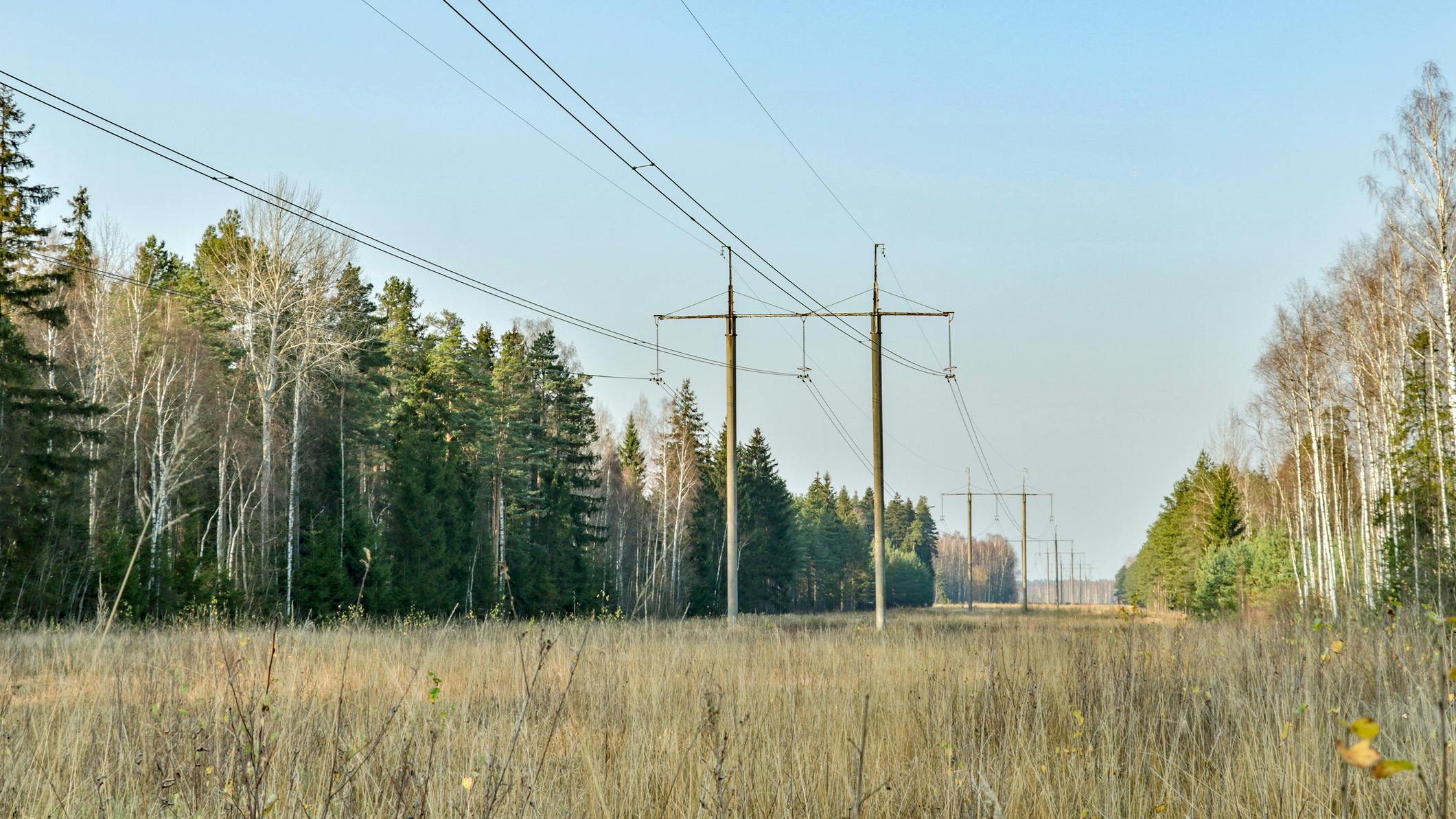 6616b4ed486a9b001ebad914 Dreamstime M 16258391021