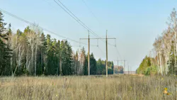 6616b4ed486a9b001ebad914 Dreamstime M 16258391021 6616b4ed486a9b001ebad914 Dreamstime M 16258391021