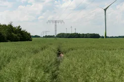 Effectively managing corridors across E.ON’s vast distribution network is integral to its grid resilience strategy. Effectively managing corridors across E.ON’s vast distribution network is integral to its grid resilience strategy.