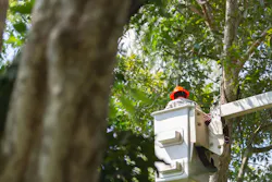 E.ON’s subcontractors rely on the LiveEO app throughout the entire process, from planning to on-site execution to reporting, ensuring a streamlined and efficient approach. E.ON’s subcontractors rely on the LiveEO app throughout the entire process, from planning to on-site execution to reporting, ensuring a streamlined and efficient approach.