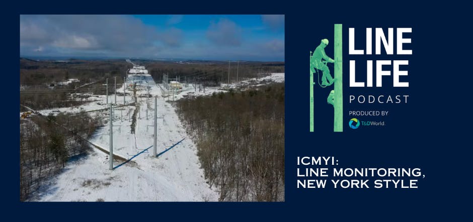 664f9e51fe498dd47839cea2 Icyminypa2