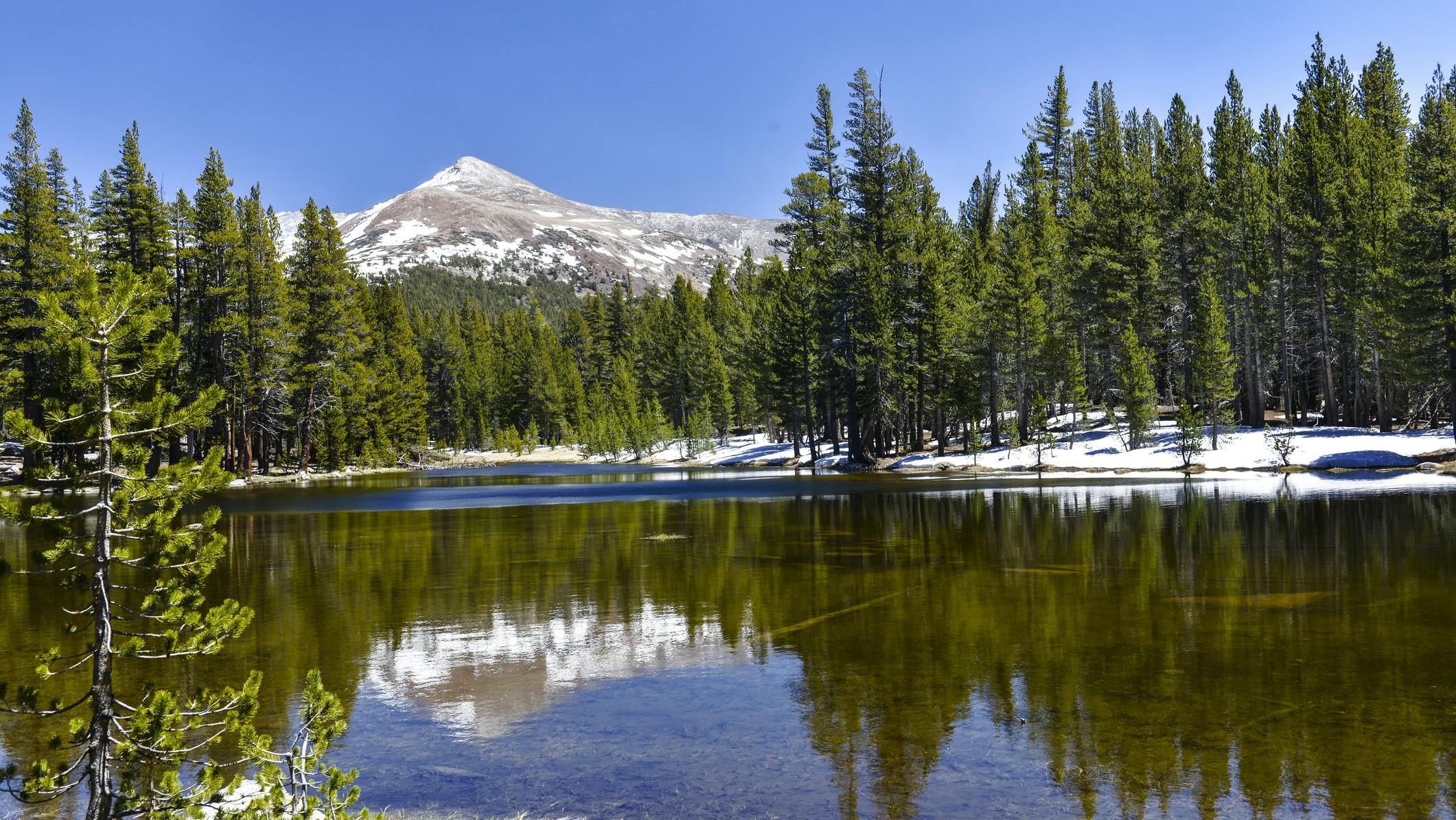 6669e3b1813cfd5db6209941 Dreamstime M 31771921