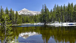 6669e3b1813cfd5db6209941 Dreamstime M 31771921 6669e3b1813cfd5db6209941 Dreamstime M 31771921