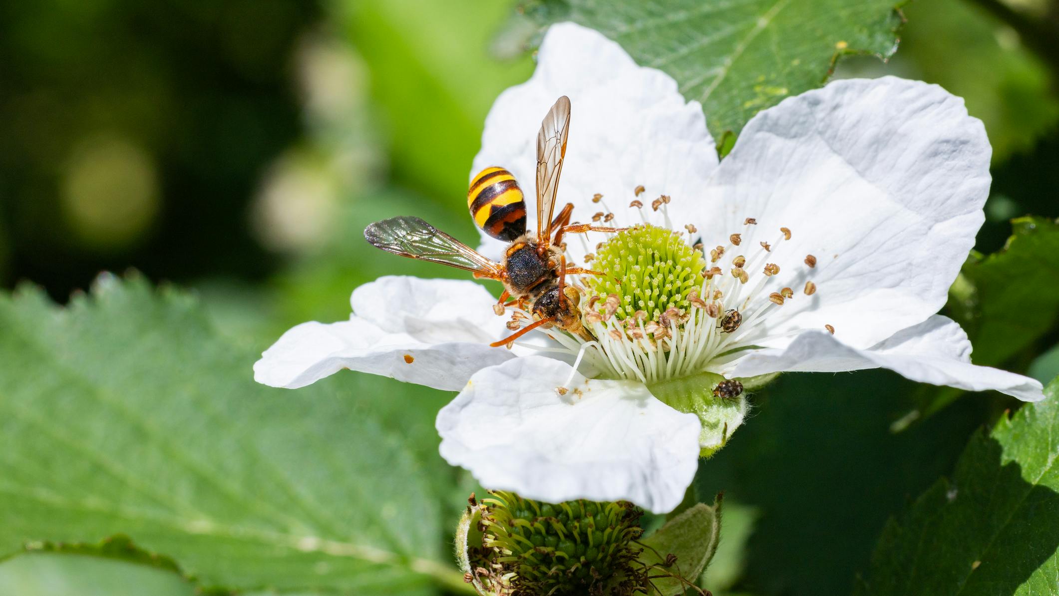 66733c99965da070d7bb2bcf Dreamstime M 319110891