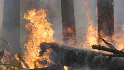 6675bc14f71ffa43d8599d9a Dreamstime M 7530164 6675bc14f71ffa43d8599d9a Dreamstime M 7530164