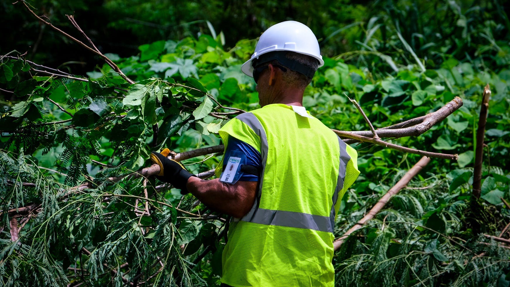 667c9b4e329525f8db8e2186 Image 9 1