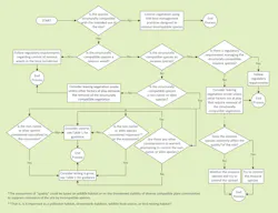 decision_keygreen decision_keygreen