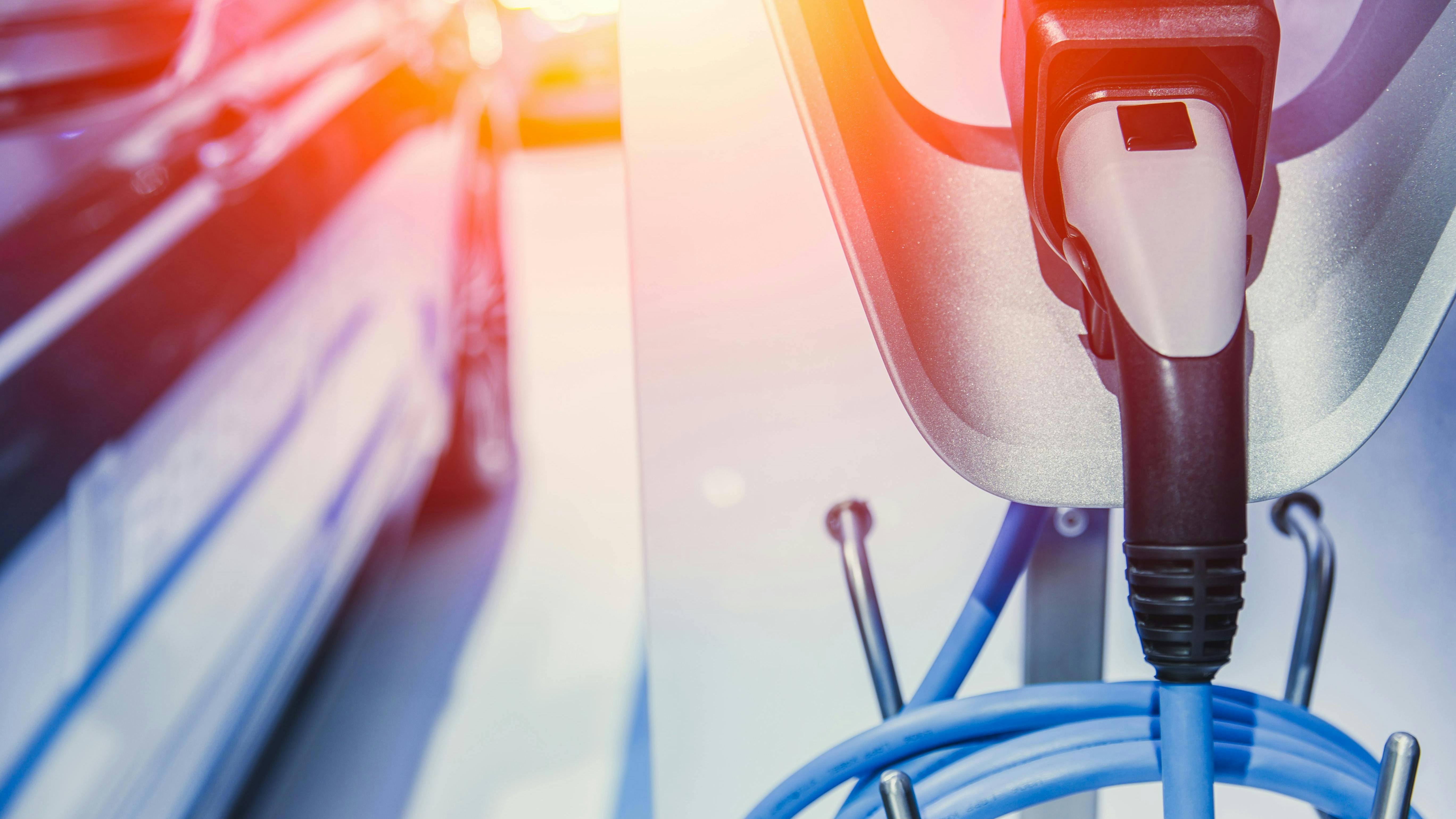 66a11114526c44dfc46c5ec2 Dreamstime Xxl 115192453