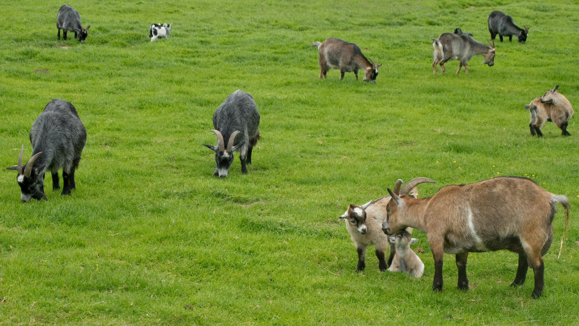 66cdd6c878509bae10507177 Dreamstime M 15658280