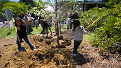 66cdd844848a27b1e9575bdd Dreamstime M 30648871 66cdd844848a27b1e9575bdd Dreamstime M 30648871