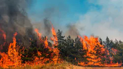 67054df268aa3e78a94eb8c5 Dreamstime M 101604737 1 67054df268aa3e78a94eb8c5 Dreamstime M 101604737 1