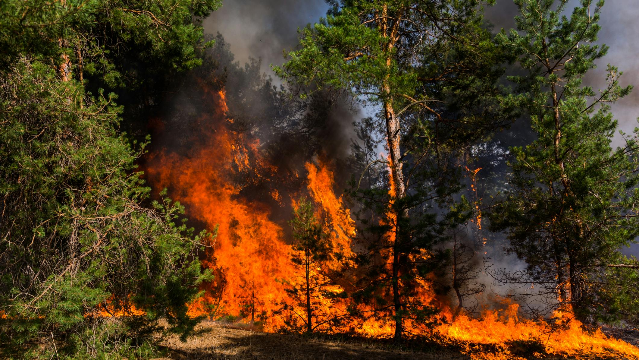 67054ff37b6d4a4cfdab605a Dreamstime M 121896650