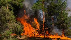 67054ff37b6d4a4cfdab605a Dreamstime M 121896650 67054ff37b6d4a4cfdab605a Dreamstime M 121896650