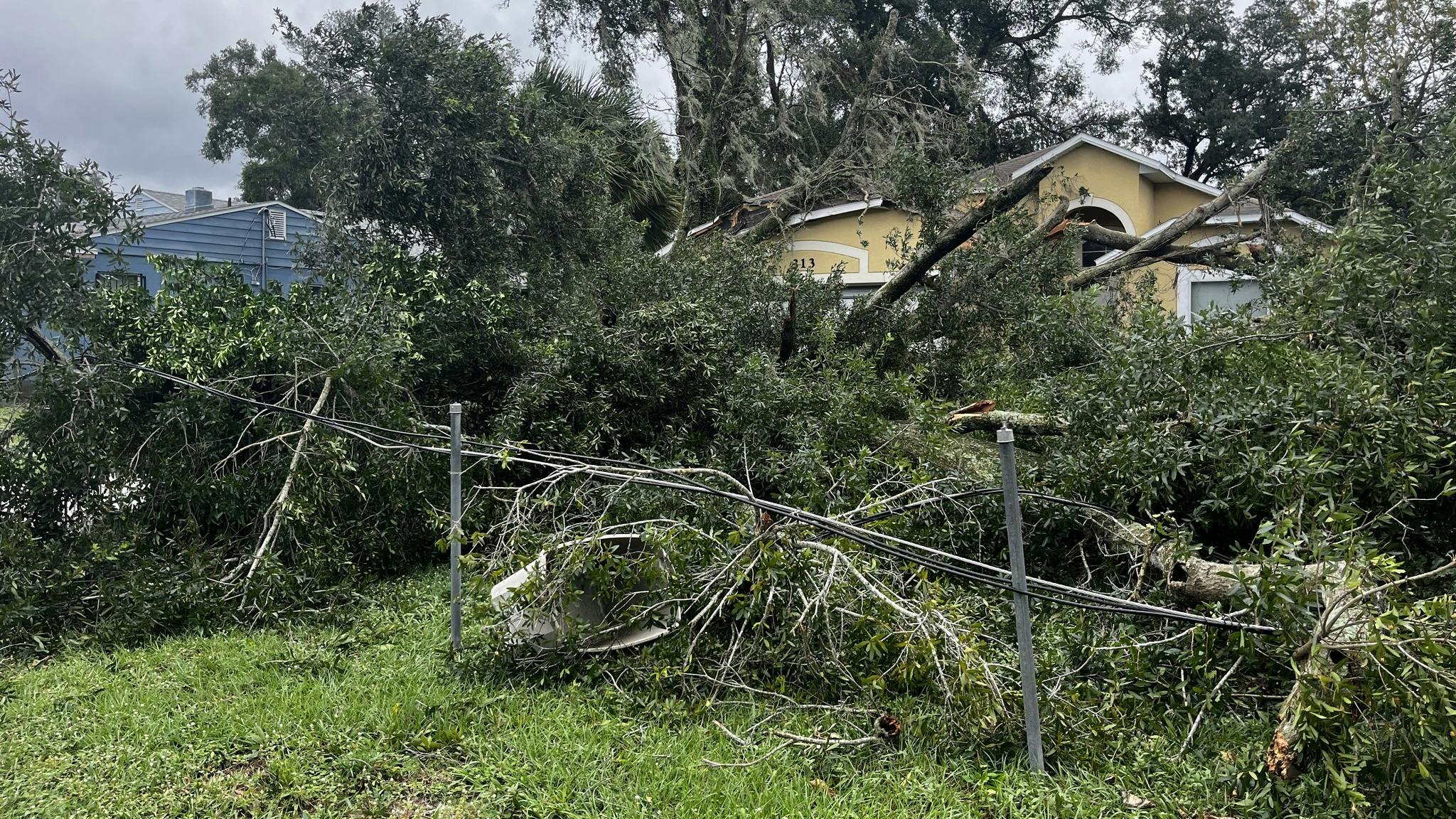 670ec99e510394236402a2fd 462618376 934428645380877 3100644116514724710 N