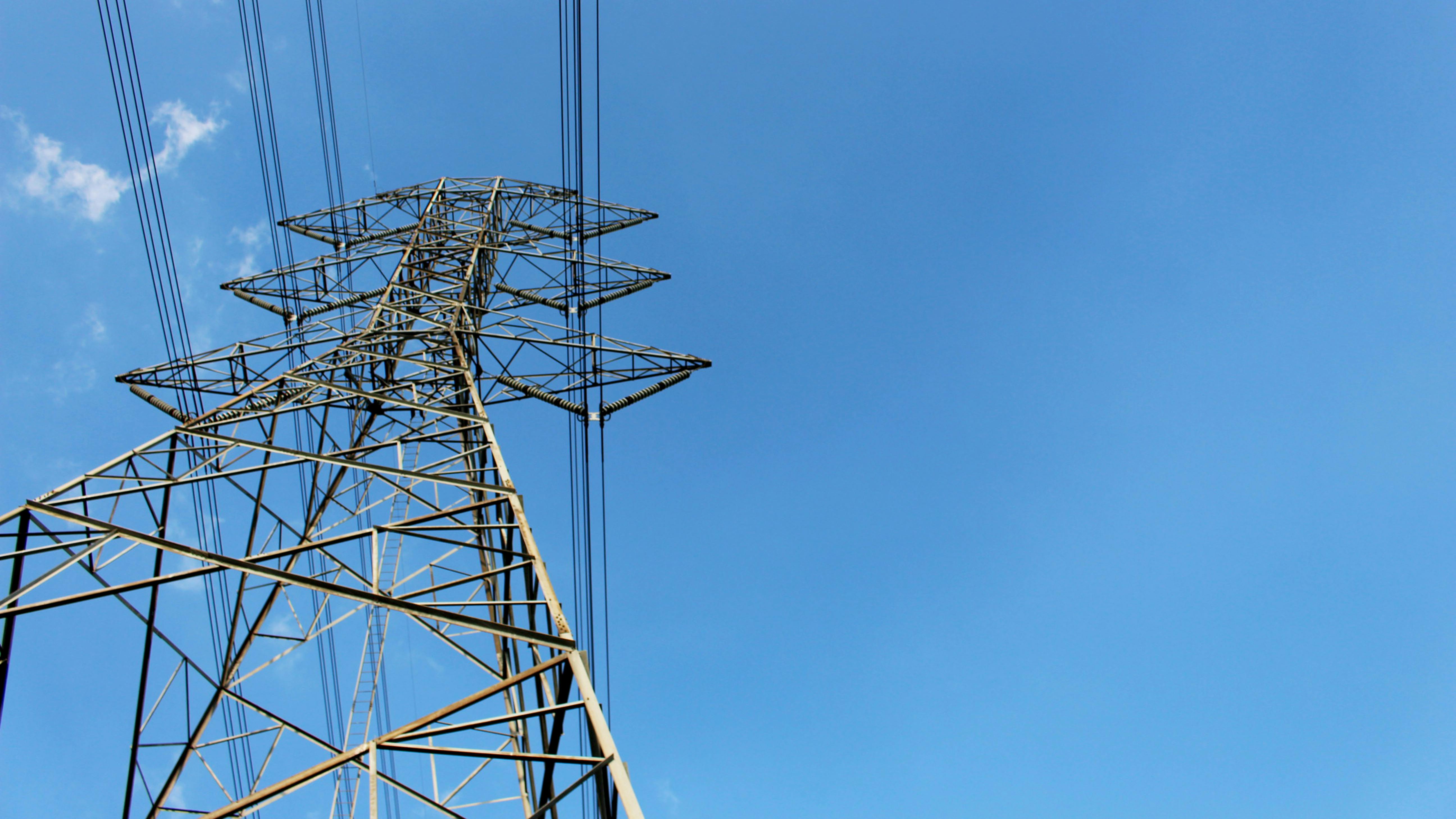 6728d53ed8e2712e3f69760a Dreamstime Xxl 102680309 1