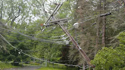 674efc01aab3a1494a130605 Dreamstime M 42457660 674efc01aab3a1494a130605 Dreamstime M 42457660