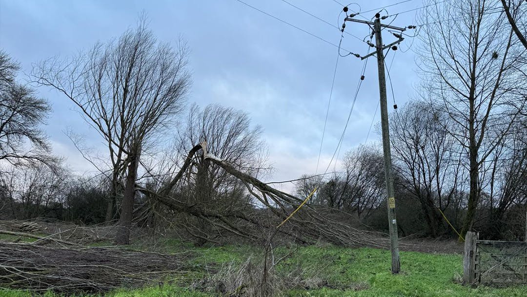 6758a89ff267d489b343782e 469448219 908235148079675 4192424106292129121 N