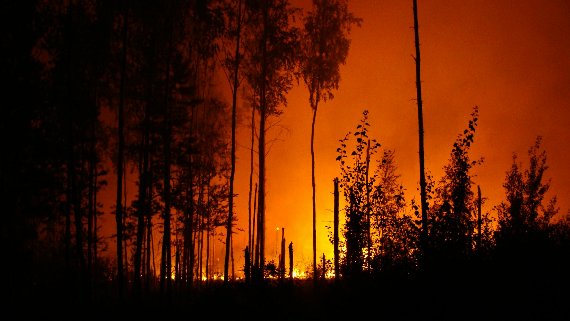 67810ecd4f1ee101cab21da8 Dreamstime M 95782277