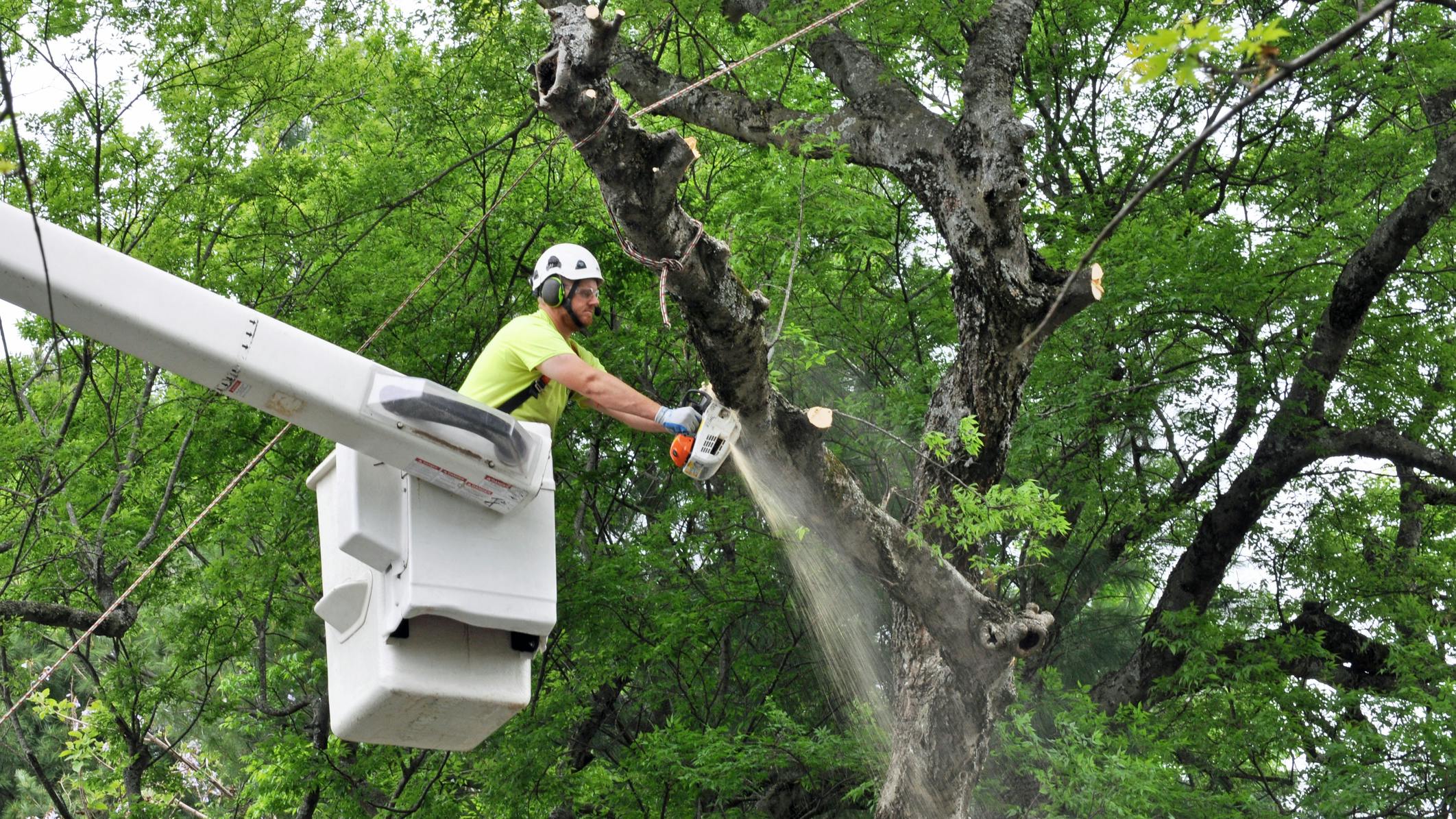 dreamstime_m_71052350