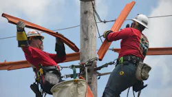 67ad2c4834245b5f36bf5cb6 Es Workers 1 67ad2c4834245b5f36bf5cb6 Es Workers 1